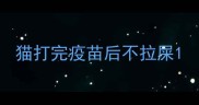 猫打完疫苗后不拉屎