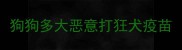 狗狗多大恶意打狂犬疫苗