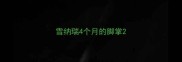 雪纳瑞4个月的脚掌