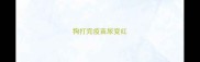 狗打完疫苗尿变红