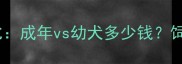 哈士奇价格对比成年vs幼犬多少钱饲养成本差异全
