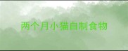两个月小猫自制食物