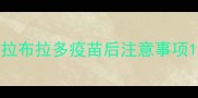 拉布拉多疫苗后注意事项