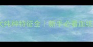 边境牧羊犬纯种特征全新手必看血统鉴别指南