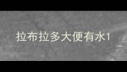 拉布拉多大便有水