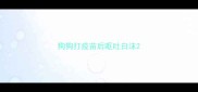 狗狗打疫苗后呕吐白沫