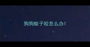 狗狗蚊子咬怎么办