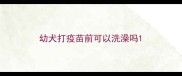 幼犬打疫苗前可以洗澡吗