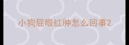 小狗屁眼红肿怎么回事