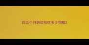四五个月的边牧吃多少狗粮
