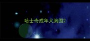 哈士奇成年犬胸围