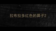 拉布拉多红色的鼻子