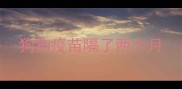 狗狗疫苗隔了两个月