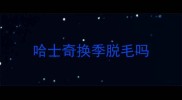 哈士奇换季脱毛吗