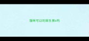 猫咪可以吃维生素b吗
