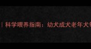 狗狗吃饭时间表科学喂养指南幼犬成犬老年犬每日喂食方案