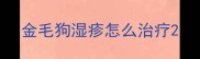 金毛狗湿疹怎么治疗
