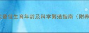 拉布拉多母犬最佳生育年龄及科学繁殖指南附养护全攻略