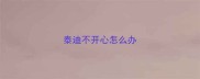 泰迪不开心怎么办