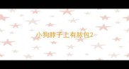 小狗脖子上有脓包