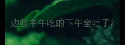 边牧中午吃的下午全吐了