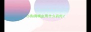 小狗得螨虫用什么药好