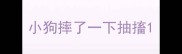 小狗摔了一下抽搐