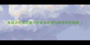 泰迪犬吃撑后腹泻的紧急处理与科学预防指南1