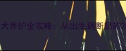 边境牧羊犬幼犬养护全攻略从出生到断奶的24小时关键期