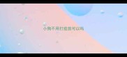 小狗不用打疫苗可以吗