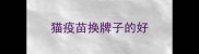 猫疫苗换牌子的好