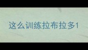 这么训练拉布拉多