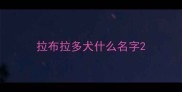 拉布拉多犬什么名字