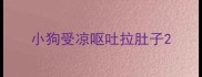 小狗受凉呕吐拉肚子