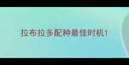拉布拉多配种最佳时机