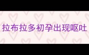 拉布拉多初孕出现呕吐
