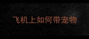 飞机上如何带宠物