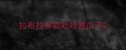 拉布拉多能吃哈密瓜不