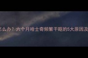 幼犬干呕怎么办六个月哈士奇频繁干呕的5大原因及应对指南