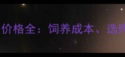 边境牧羊犬10个月价格全饲养成本选购指南与市场行情
