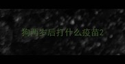狗两岁后打什么疫苗
