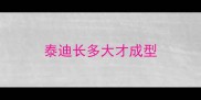泰迪长多大才成型