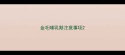 金毛哺乳期注意事项