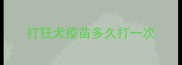打狂犬疫苗多久打一次