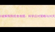 宠物营养师教你破解狗狗拒食难题科学应对策略与30天饮食调理方案