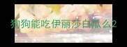 狗狗能吃伊丽莎白瓜么
