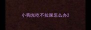 小狗光吃不拉屎怎么办