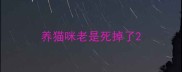养猫咪老是死掉了