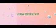 犬疫苗预防细小吗