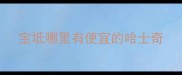 宝坻哪里有便宜的哈士奇